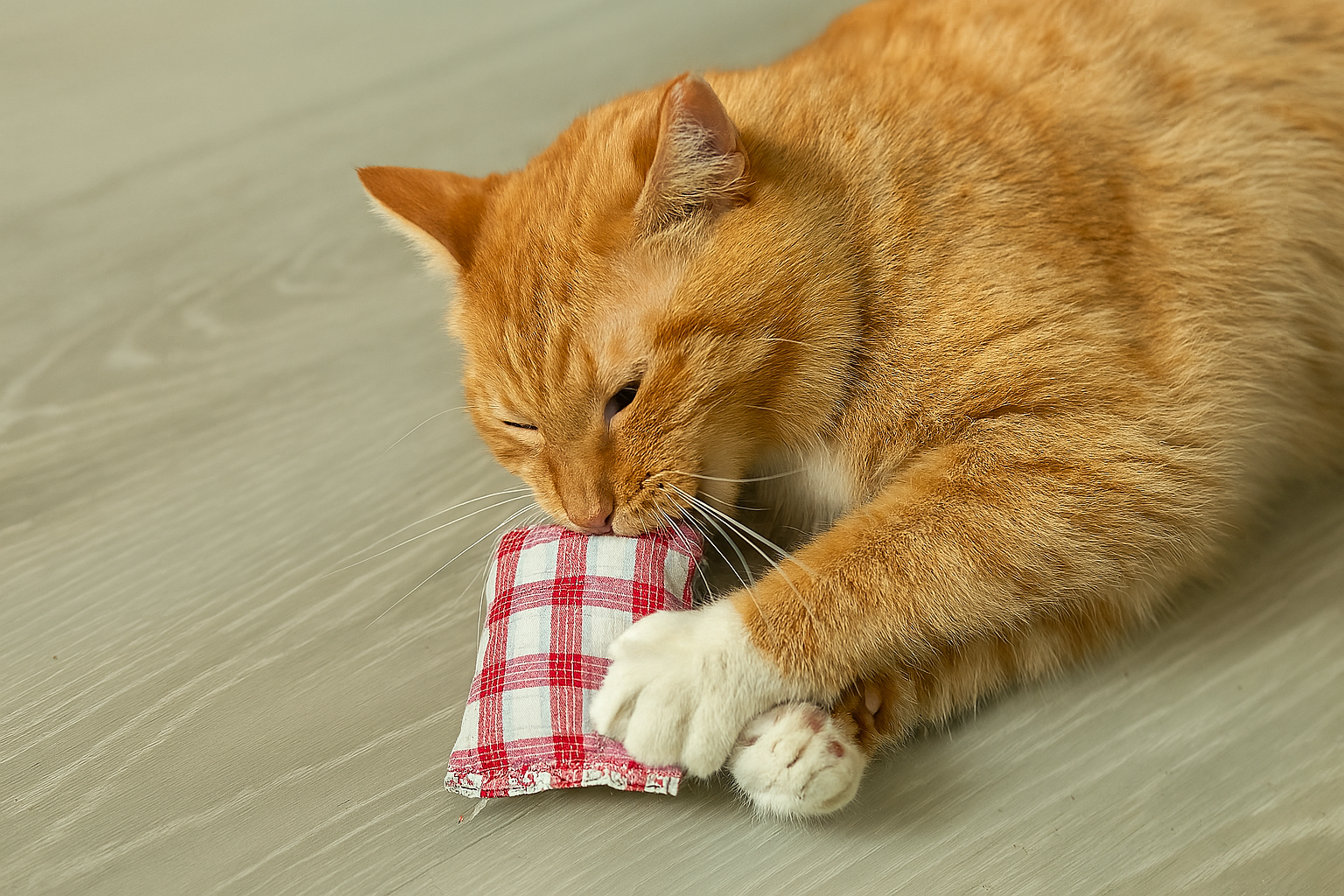 Handmade Catnip Pillow Toy – Red & White Plaid with Floral Trim | Refillable Cat Toy | Organic Catnip Included