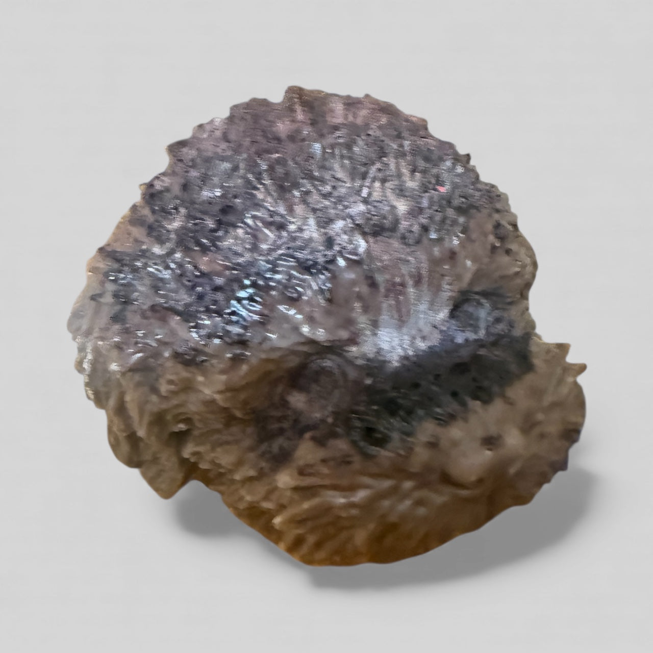 Handmade Realistic Dog Face Candle